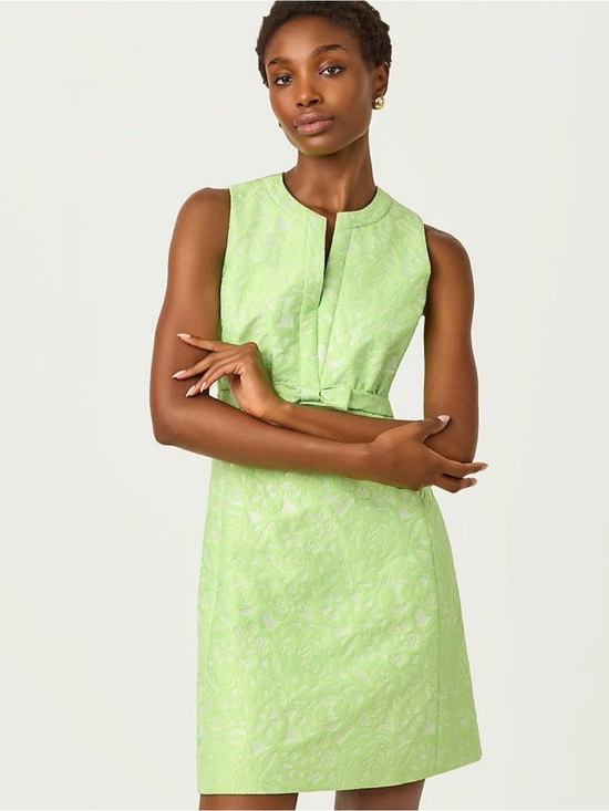 Lilly Pulitzer Dresses & Skirts - Lilly Pulitzer, NWTs sobel  Sleeveless Lime Jacquard shift Dress, pistachio sz 8